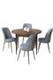 Hanah Home Juego de Mesa y Sillas de Comedor de 5 Piezas Barroco y Gris